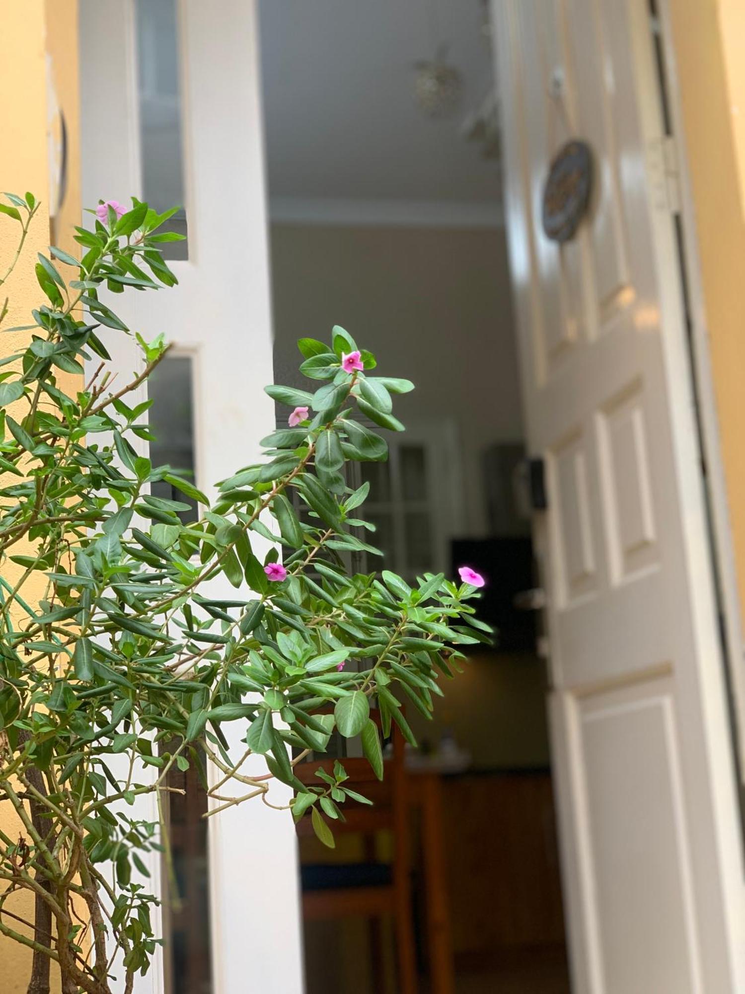 Charmcham House Διαμέρισμα Ανόι Εξωτερικό φωτογραφία