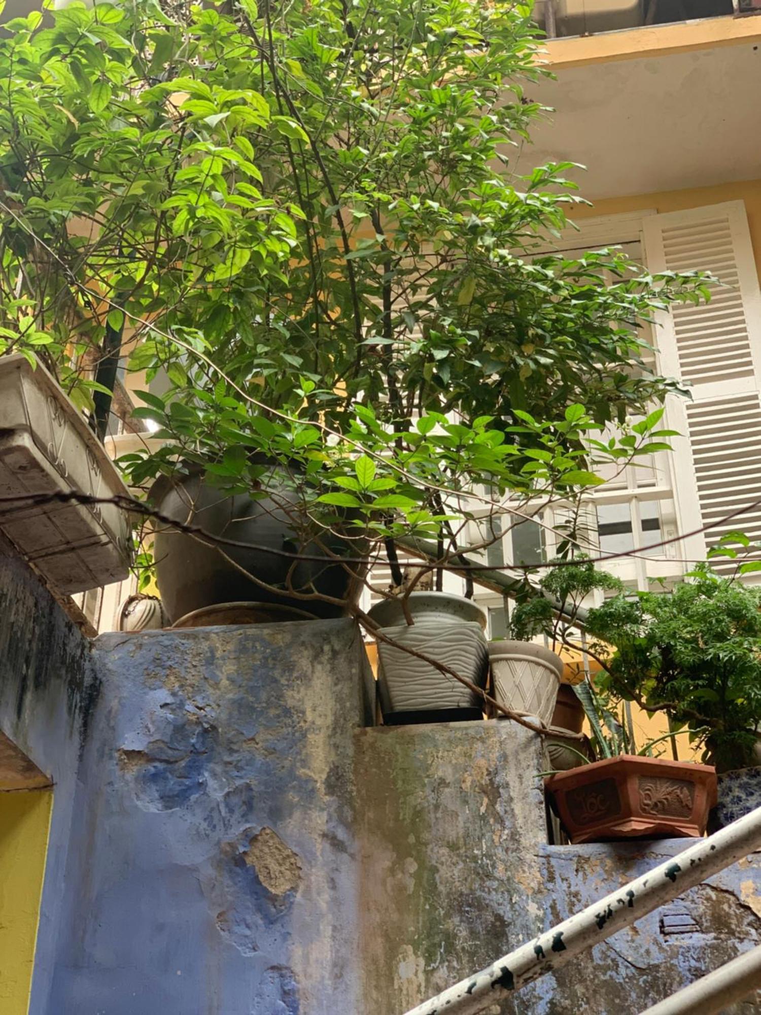 Charmcham House Διαμέρισμα Ανόι Εξωτερικό φωτογραφία